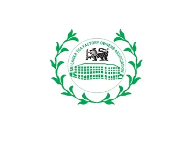 Business Development