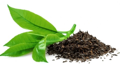 Global Matcha Boom Sends Tea Prices High in Japan