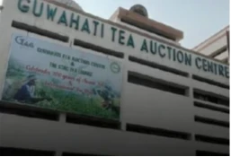 GTAC welcomes revised incentives for tea industry